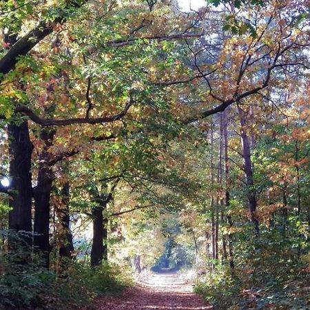Vakantiehuis Op Rustig Bospark Veluwe Voorthuizen Exterior photo