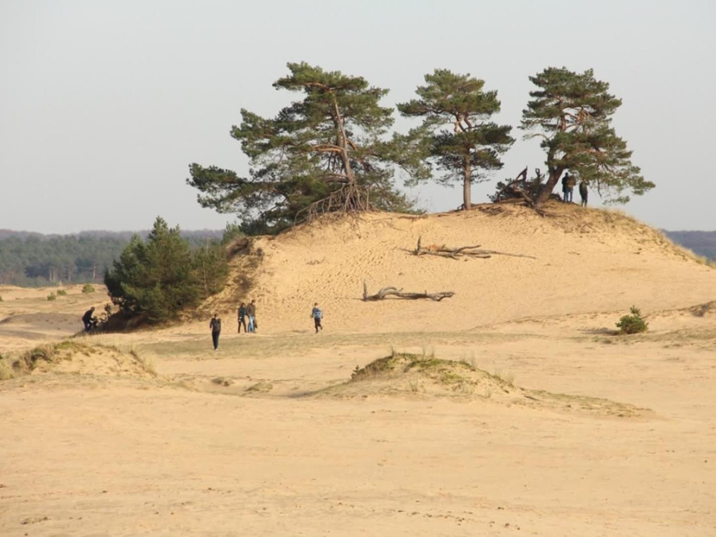 Vakantiehuis Op Rustig Bospark Veluwe Voorthuizen Exterior photo