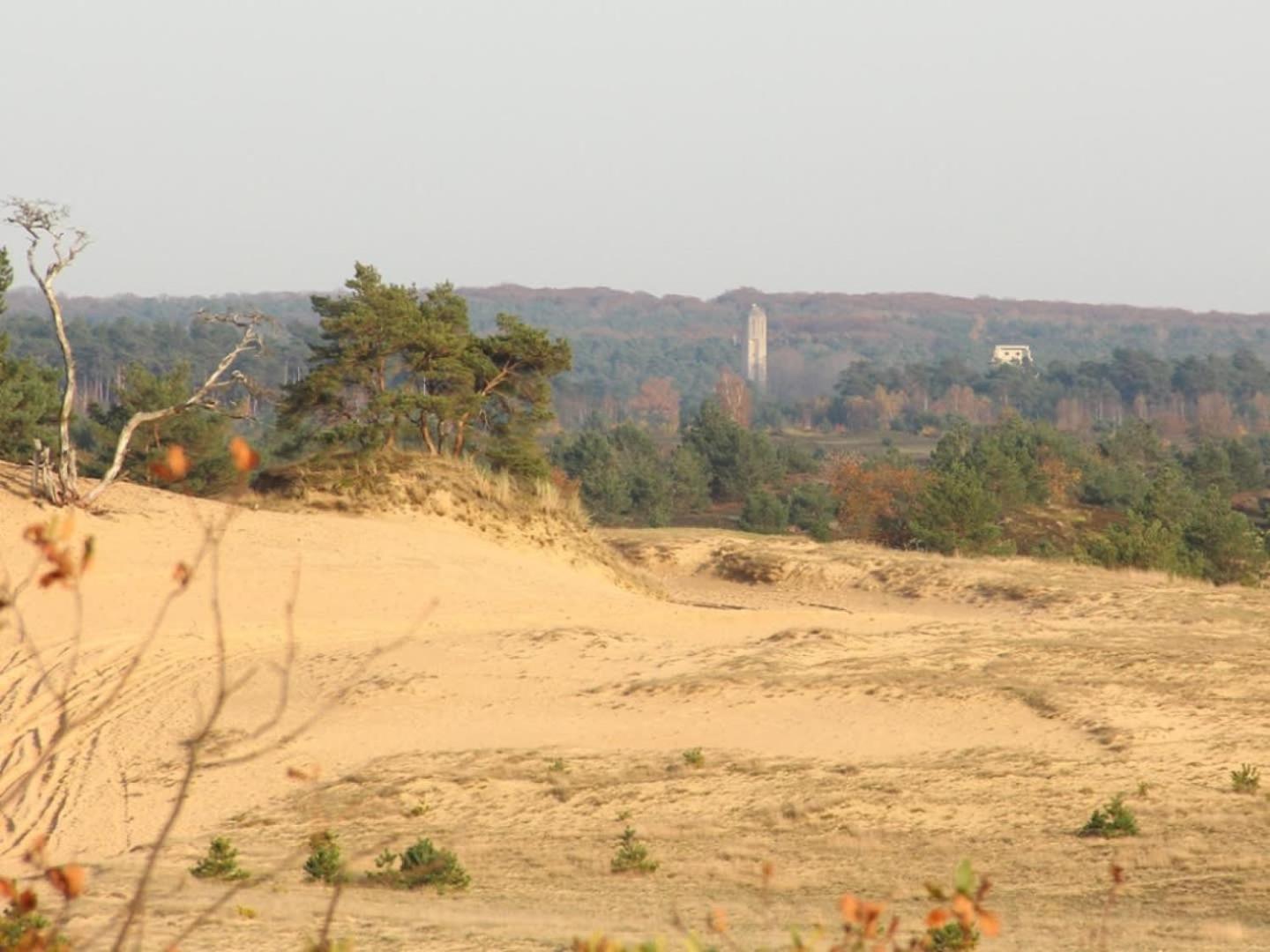 Vakantiehuis Op Rustig Bospark Veluwe Voorthuizen Exterior photo